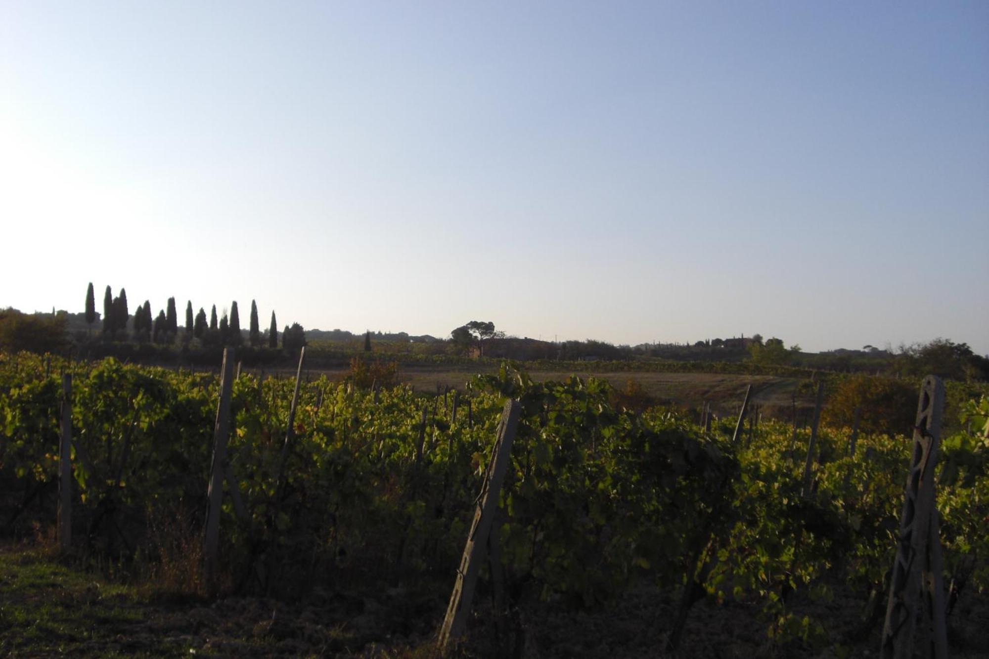 Tenuta Santagnese Villa Montepulciano Luaran gambar